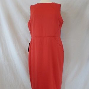 The Limited Sleeveless Fully Lined Sheath Dress